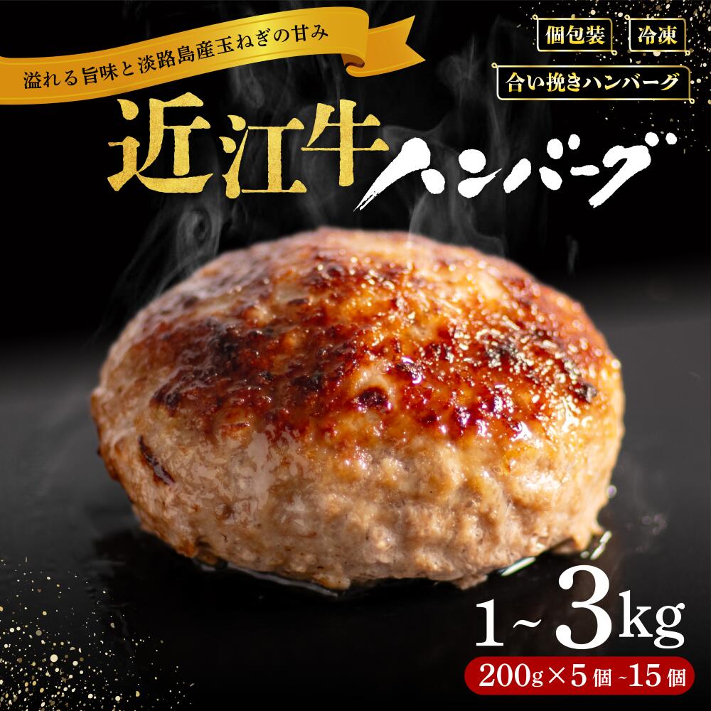 滋賀県竜王町の近江牛ハンバーグ