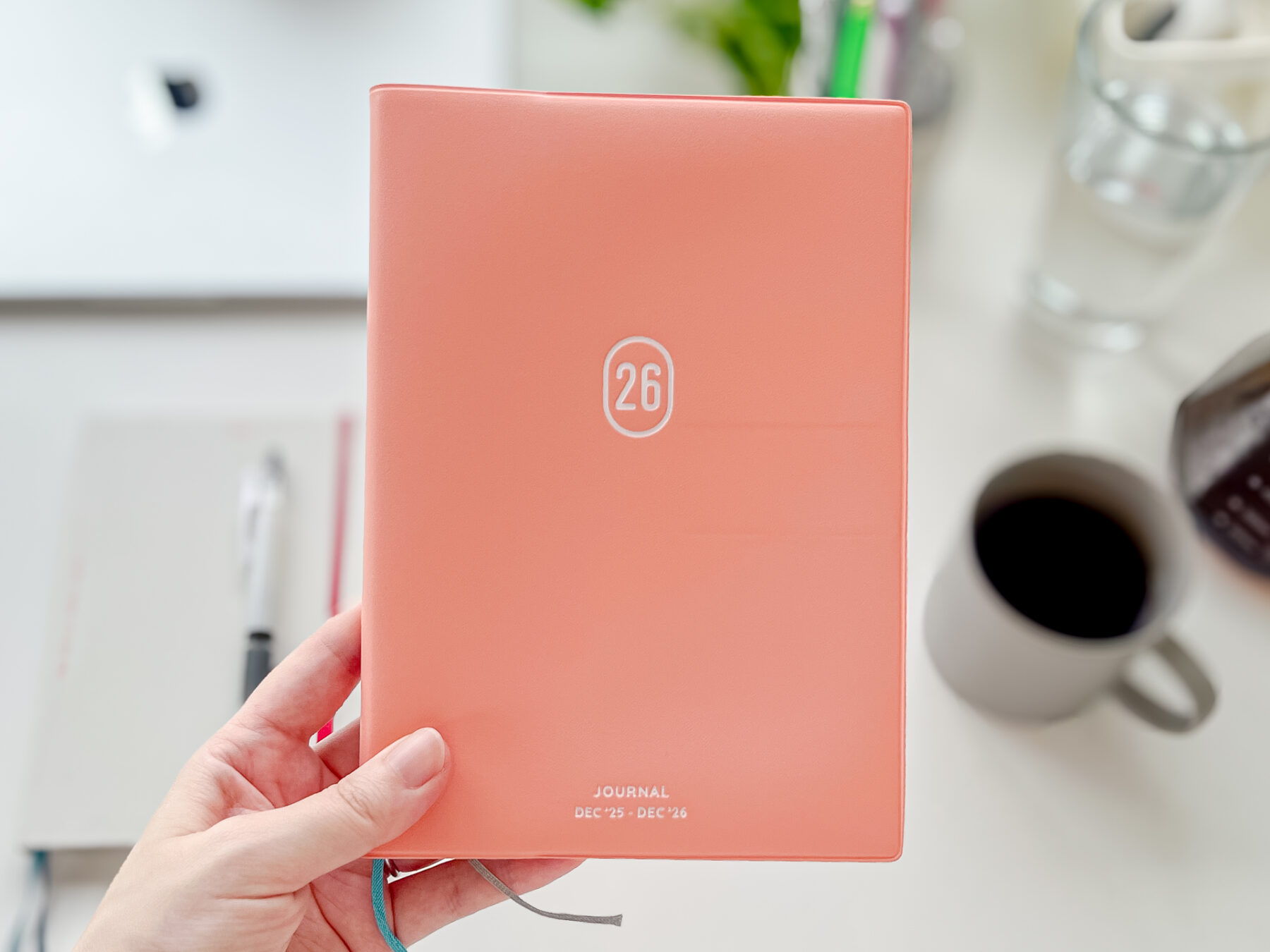 ハイタイドダイアリーのキャストン2026年版