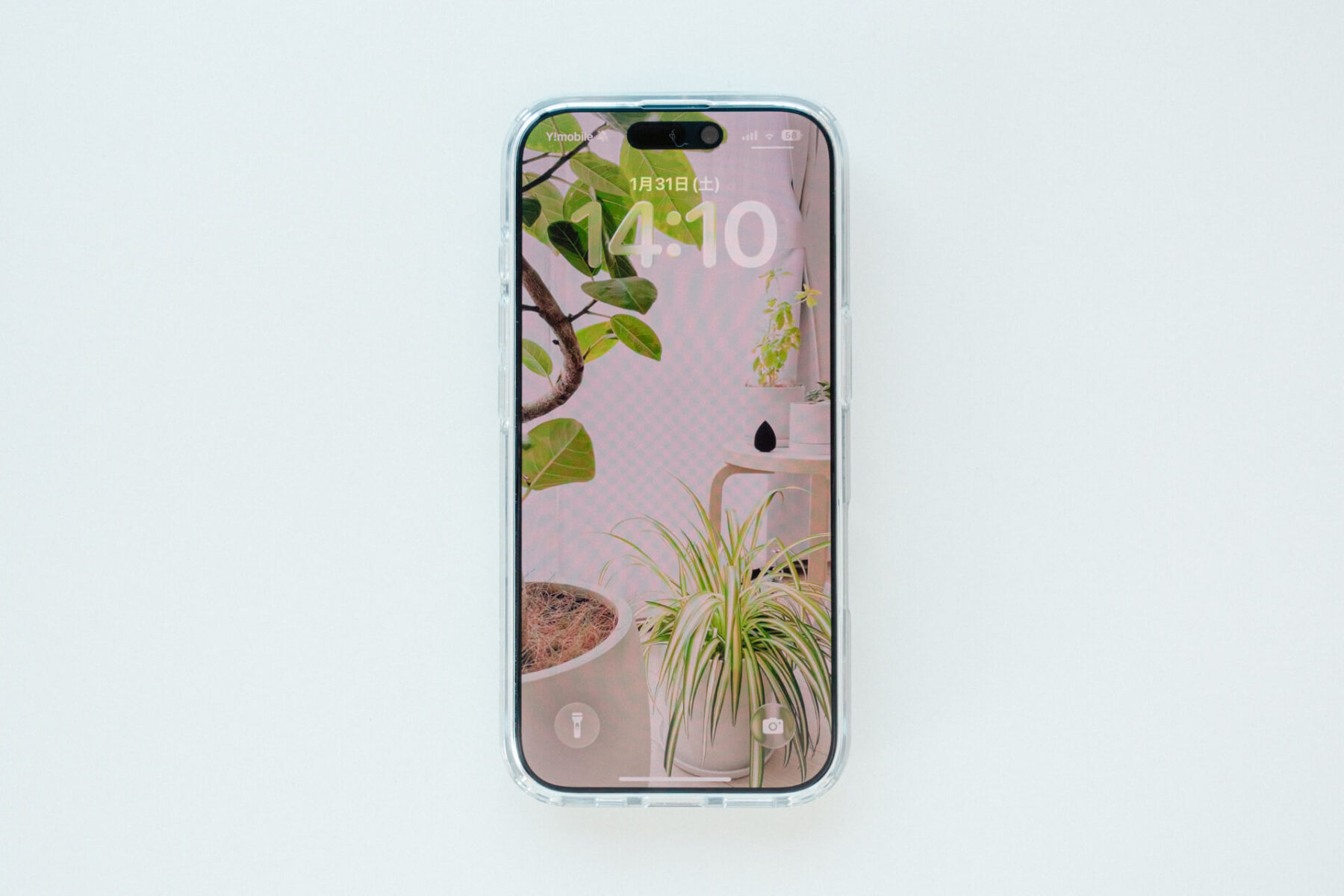 正面からスマホを見た様子