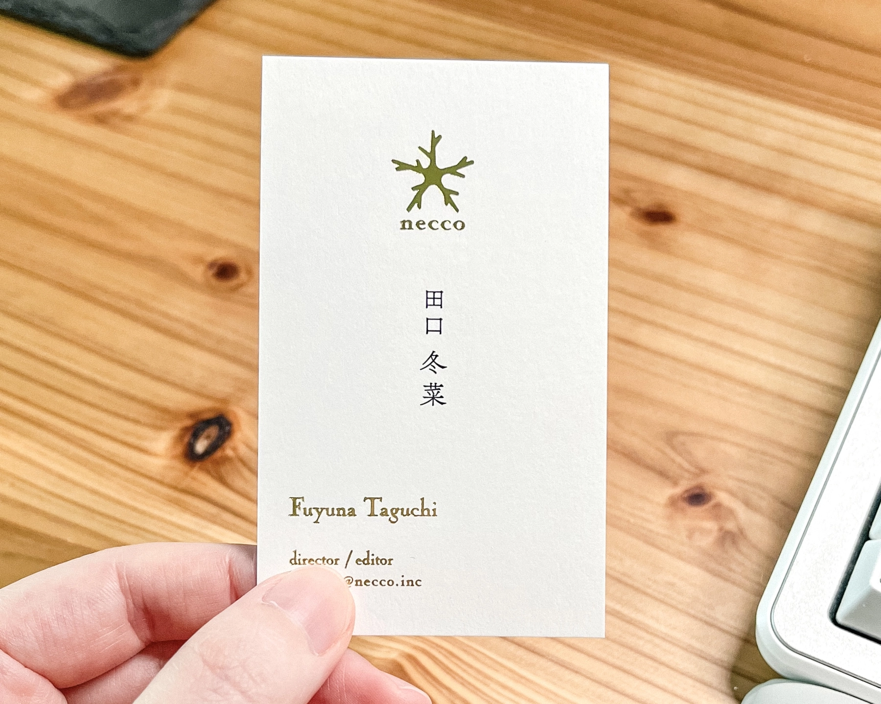 転職後に撮った名刺の写真。肩書きがディレクター・エディターになった。